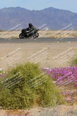 media/Mar-12-2023-SoCal Trackdays (Sun) [[d4c8249724]]/Turn 15 Inside Bloom (130pm)/